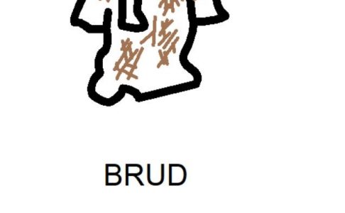 Brud